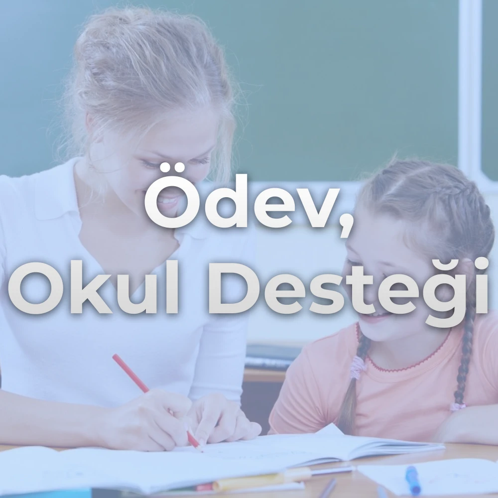 Ödev, Okul Desteği